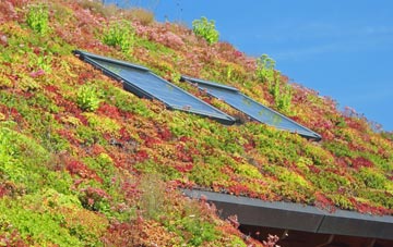 Chedworth Laines living roof systems